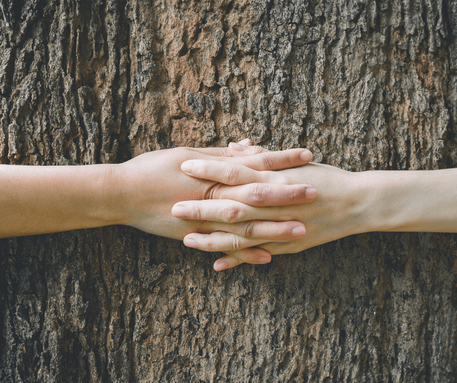 arms hugging a tree trunk