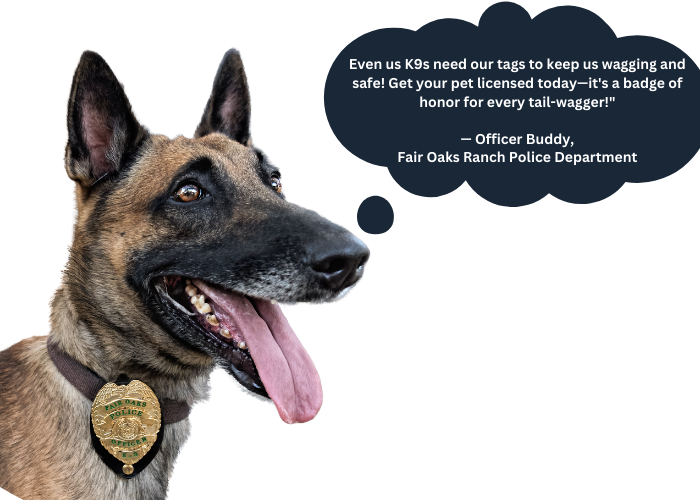 Even us K9s need our tags to keep us wagging and safe! Get your pet licensed today